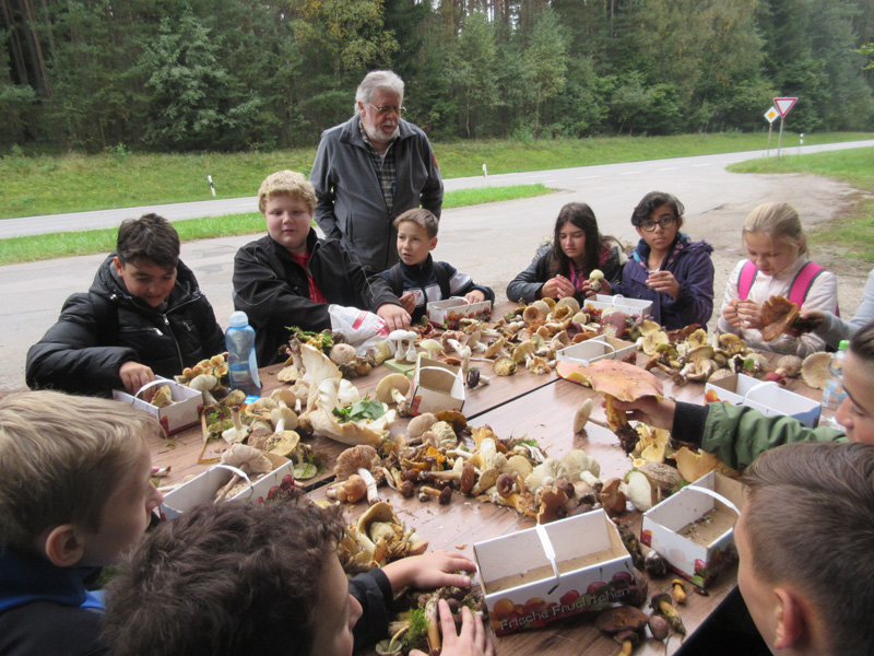 Pilzwanderung – 5. / 7. Klasse