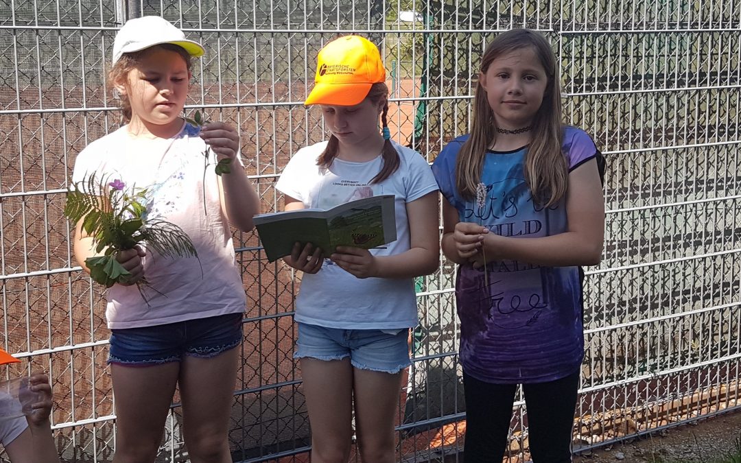 Thema Artenvielfalt in der AG Schulgarten und Natur erleben