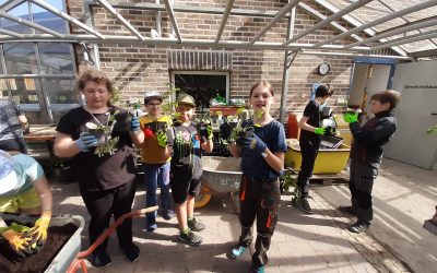 Infotag „Garten- und Landschaftsbau“ beim Berufsbildungswerk (BBW) in Abensberg – Klasse 5
